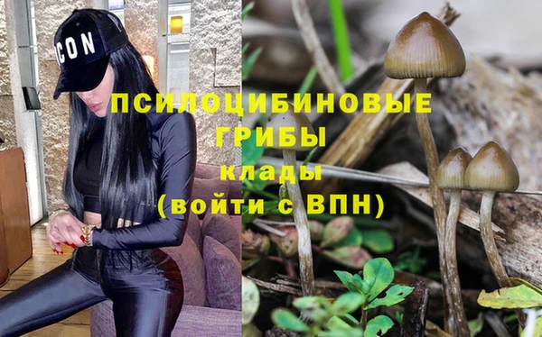 первитин Абинск