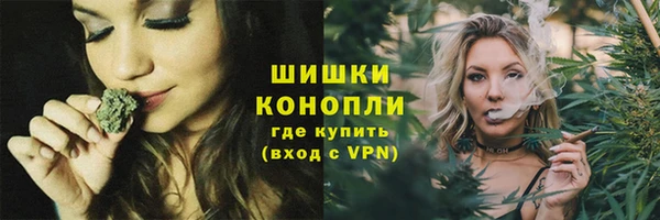 прущие грибы Пролетарск