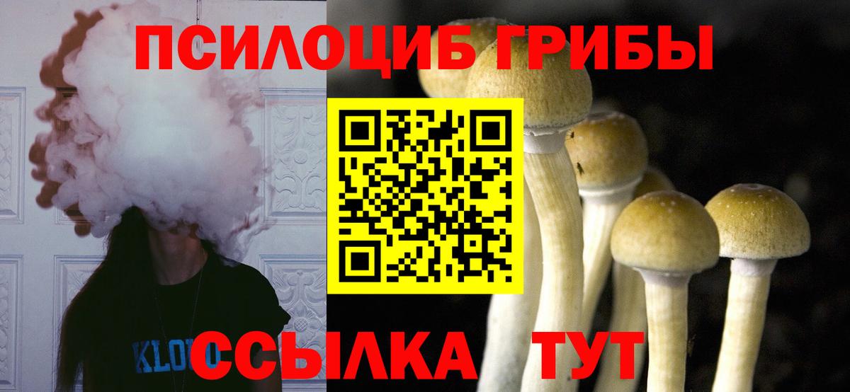 Псилоцибиновые грибы Psilocybine cubensis  Вход с VPN  Алейск 