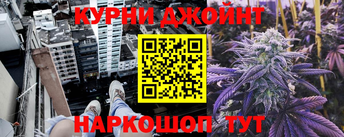 Каннабис сатива Алейск
